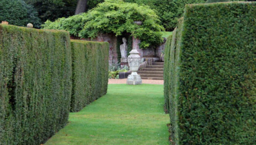 Frames & Games at Norfolk Botanical Garden