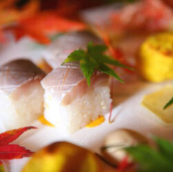 Kampachi Fish - A Delicious and Sustainable Seafood Delight