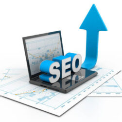 High Authority Backlinks