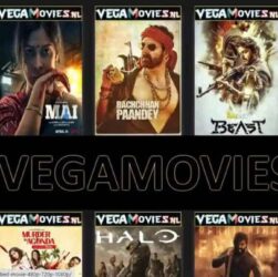 Discover unlimited entertainment: Vegamovies delivers your favorite shows and movies 1 vegamovies