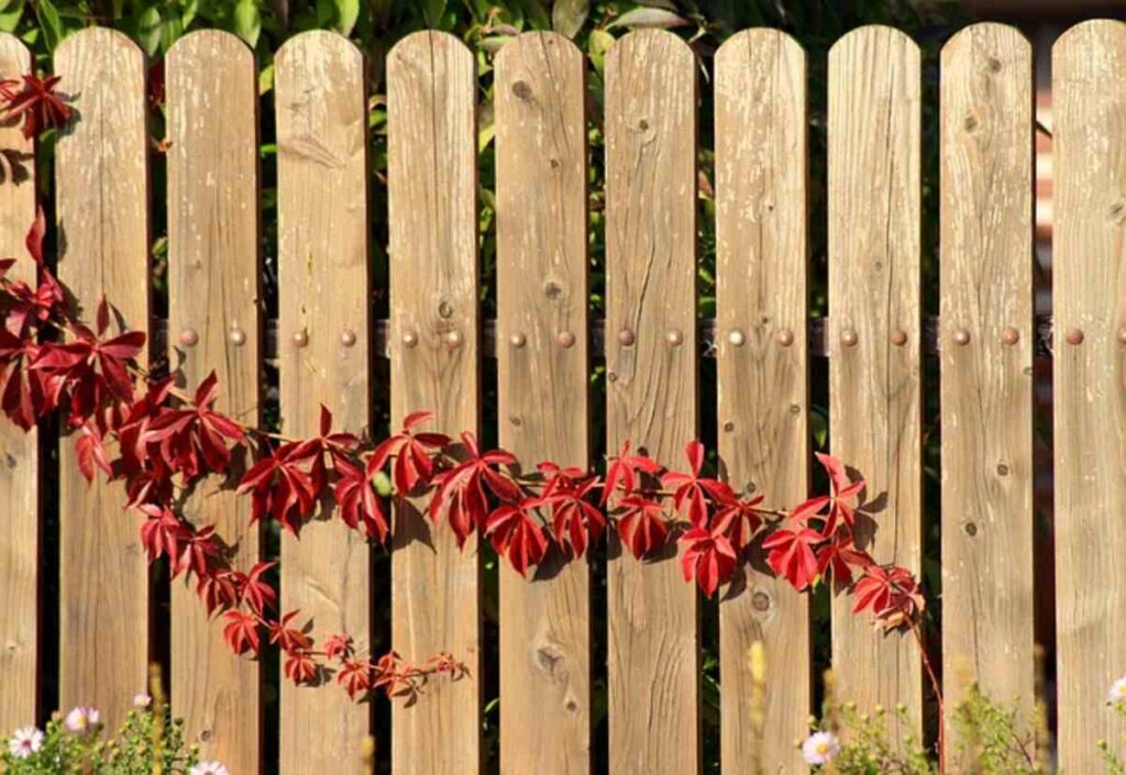 Fence Installation Anaheim
